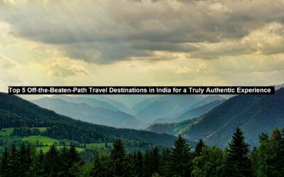 Authentic Experience