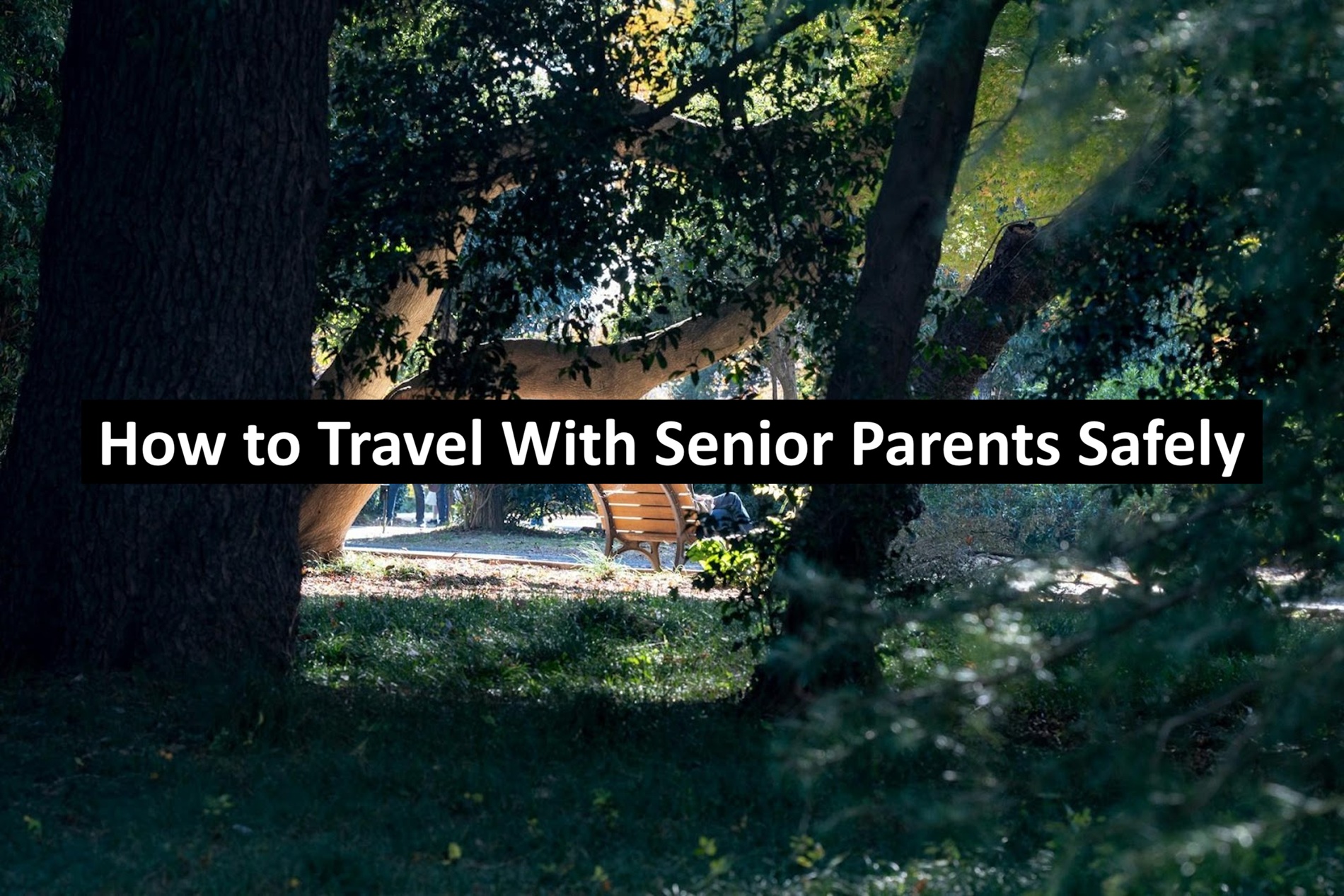 Travel With Senior Parents Safely